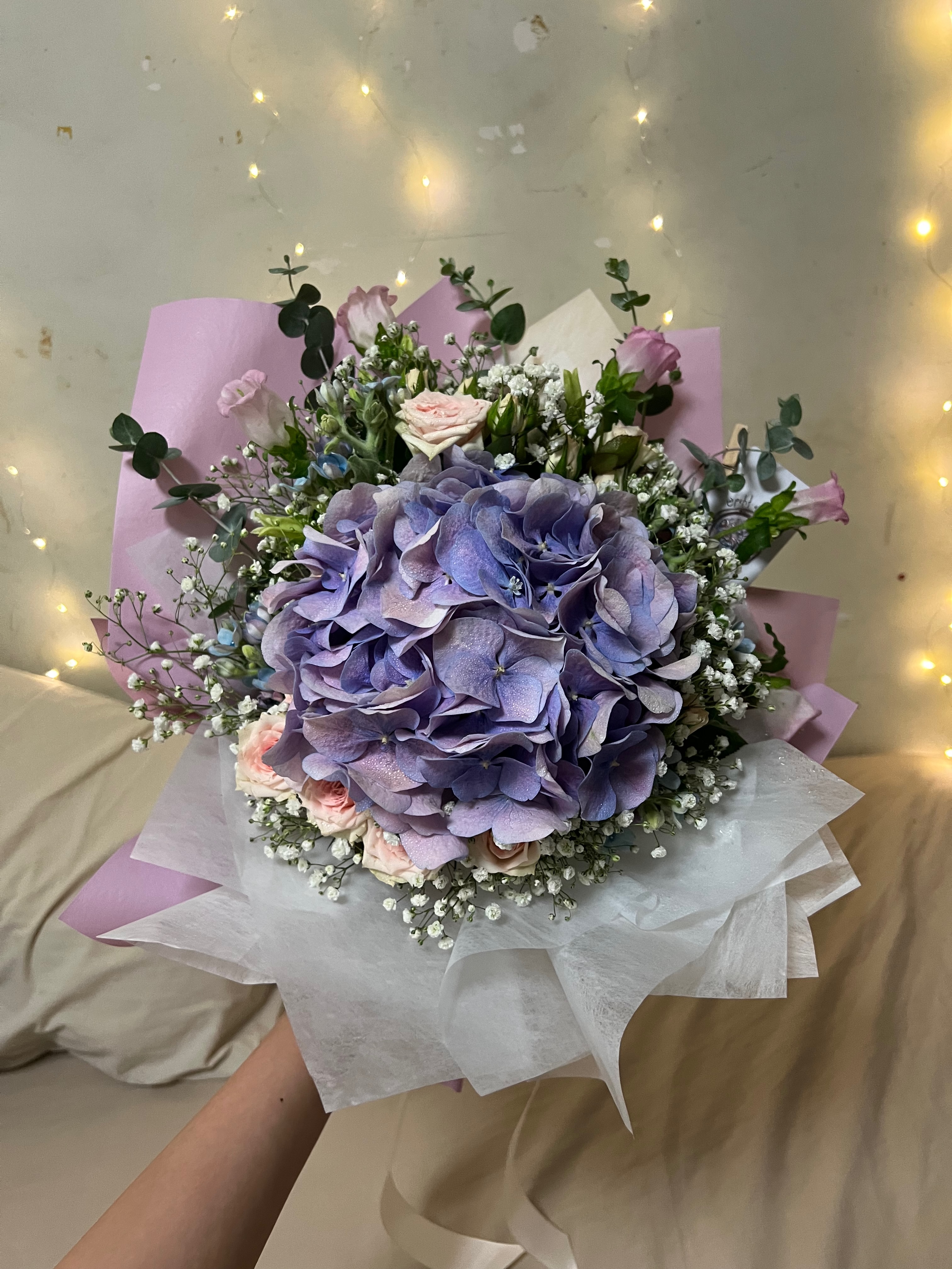 Petal Symphony (Hydrangea)